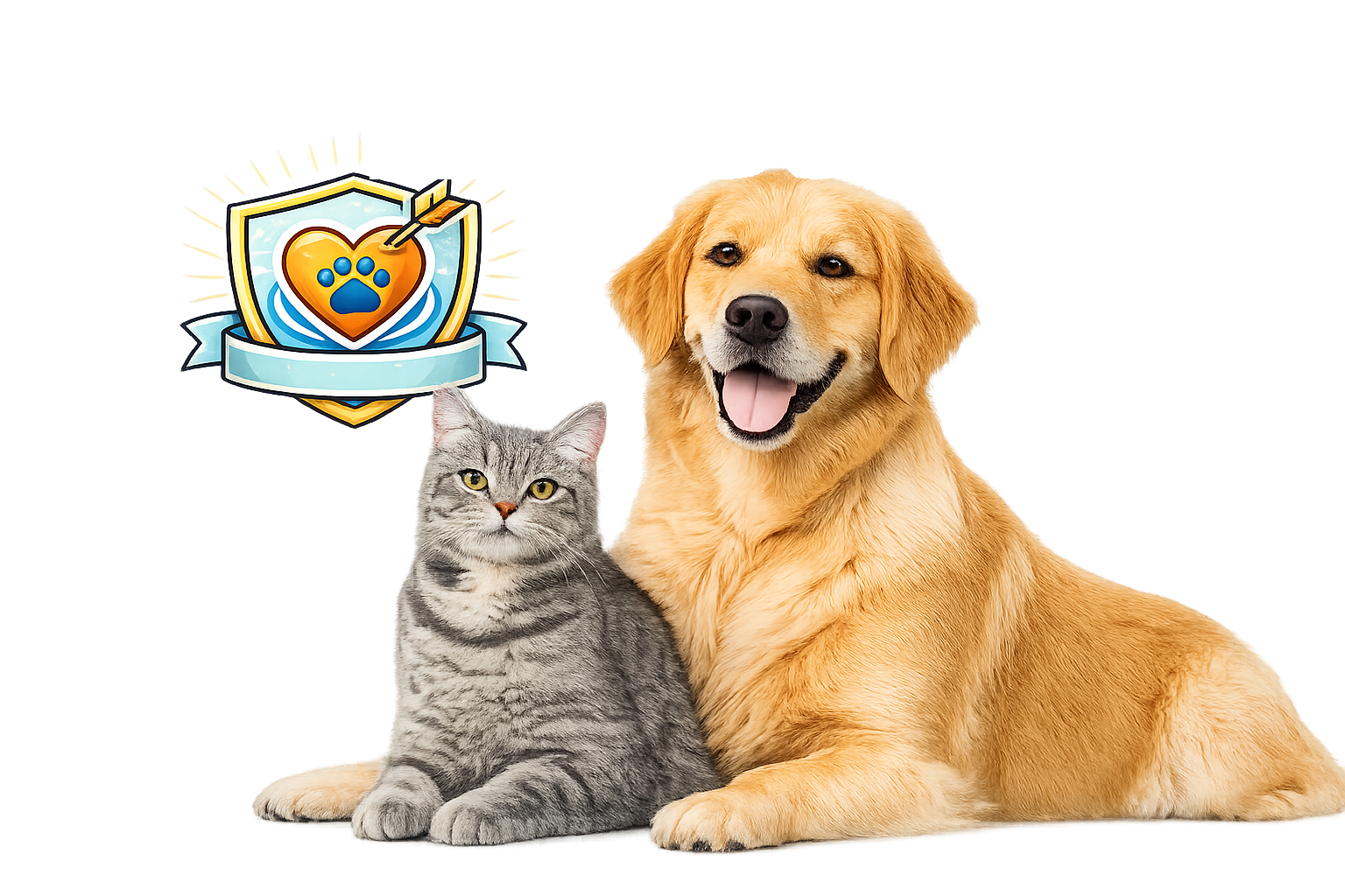 Untitled design (51)