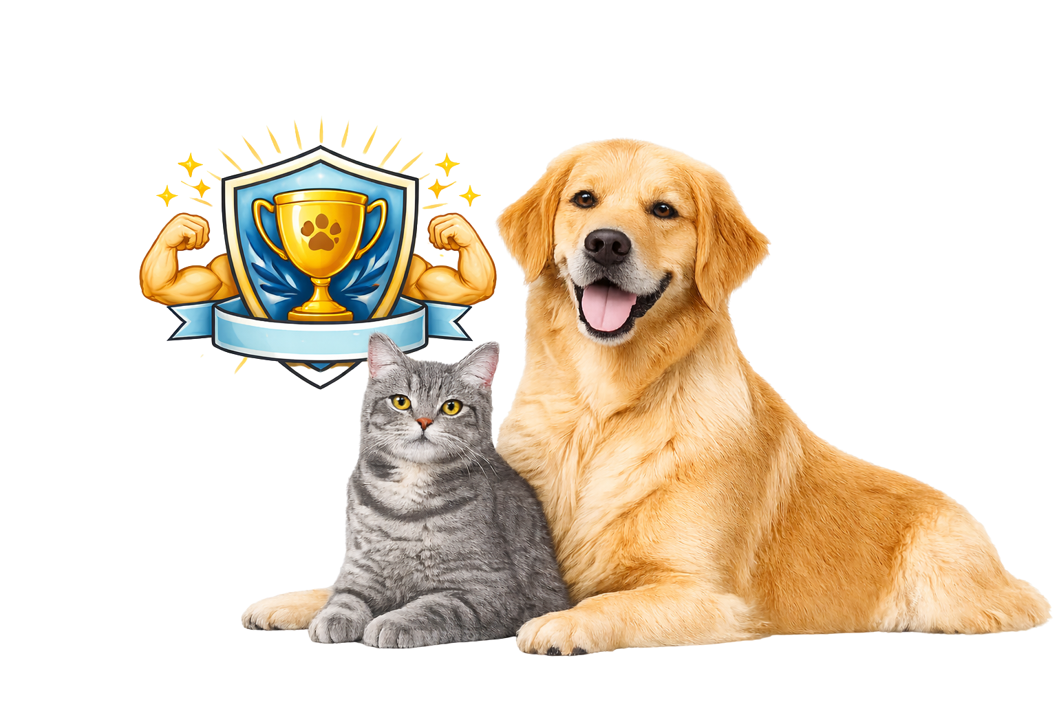 Untitled design (53)