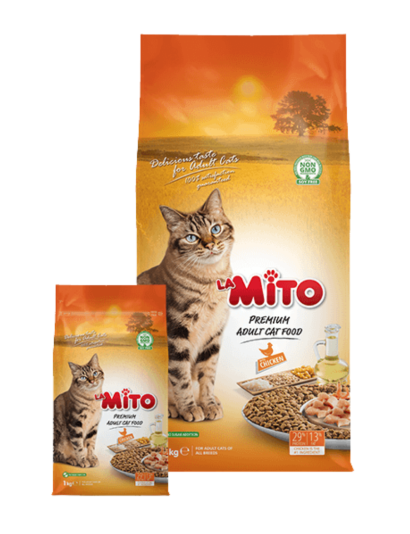 Untitled design (54)