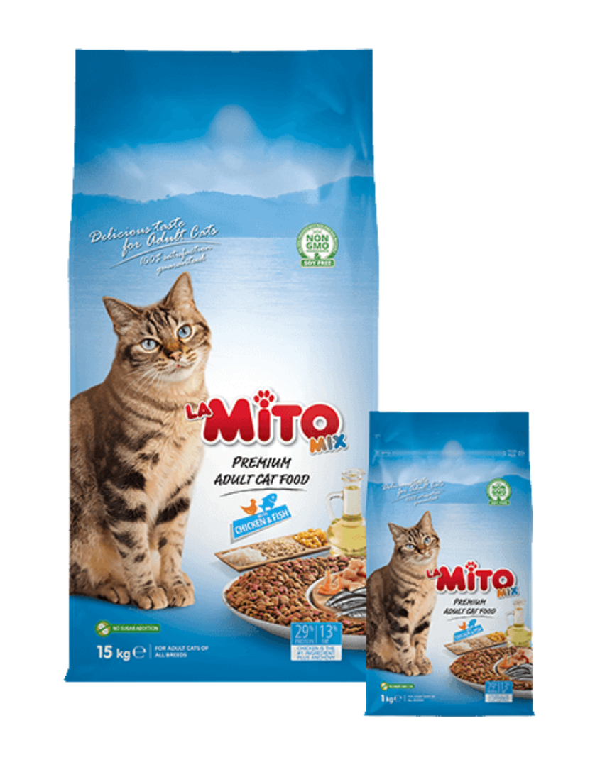 Untitled design (55)