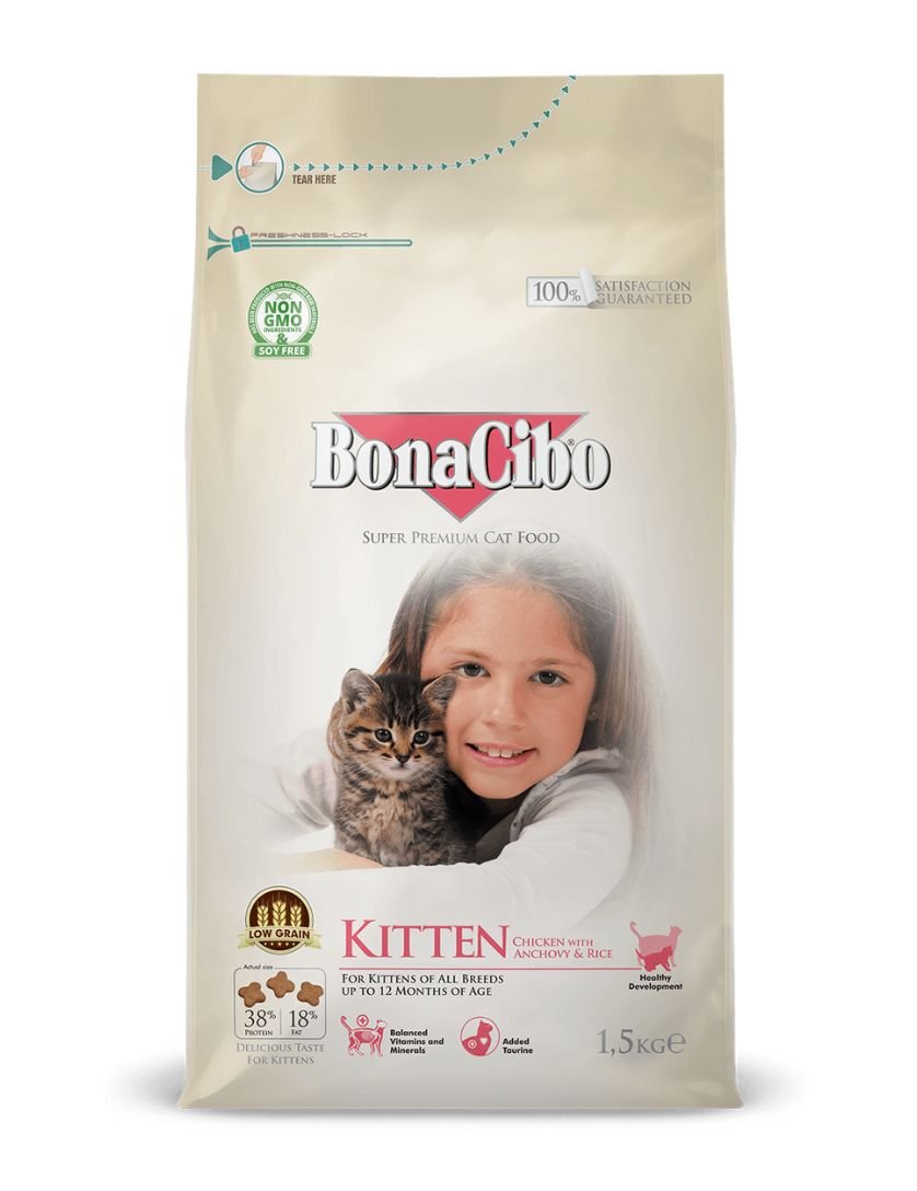 bonacibo-kitten