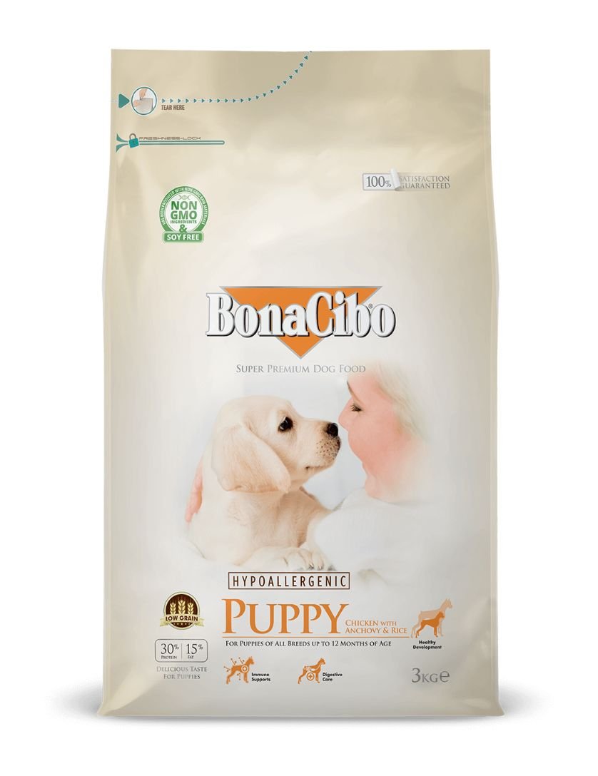 bonacibo-puppy